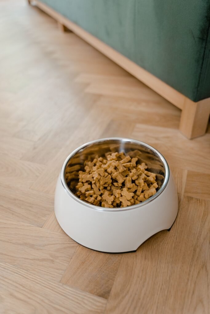 Dog food bowl in a small home feeding area