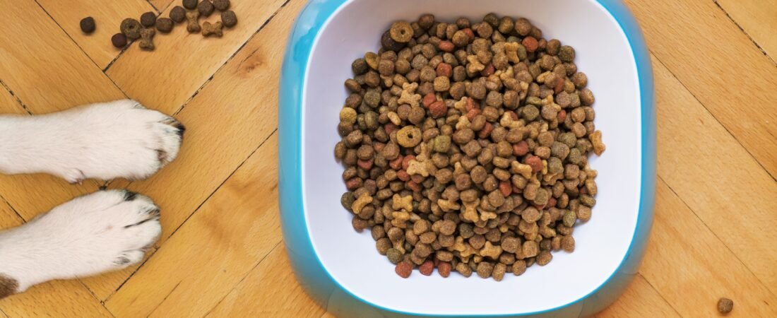 How to Stop Dog Bowls Sliding Around the Floor: 8 Easy Fixes