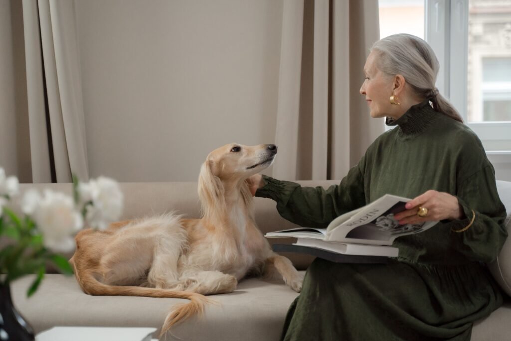 Clean dog-friendly couch