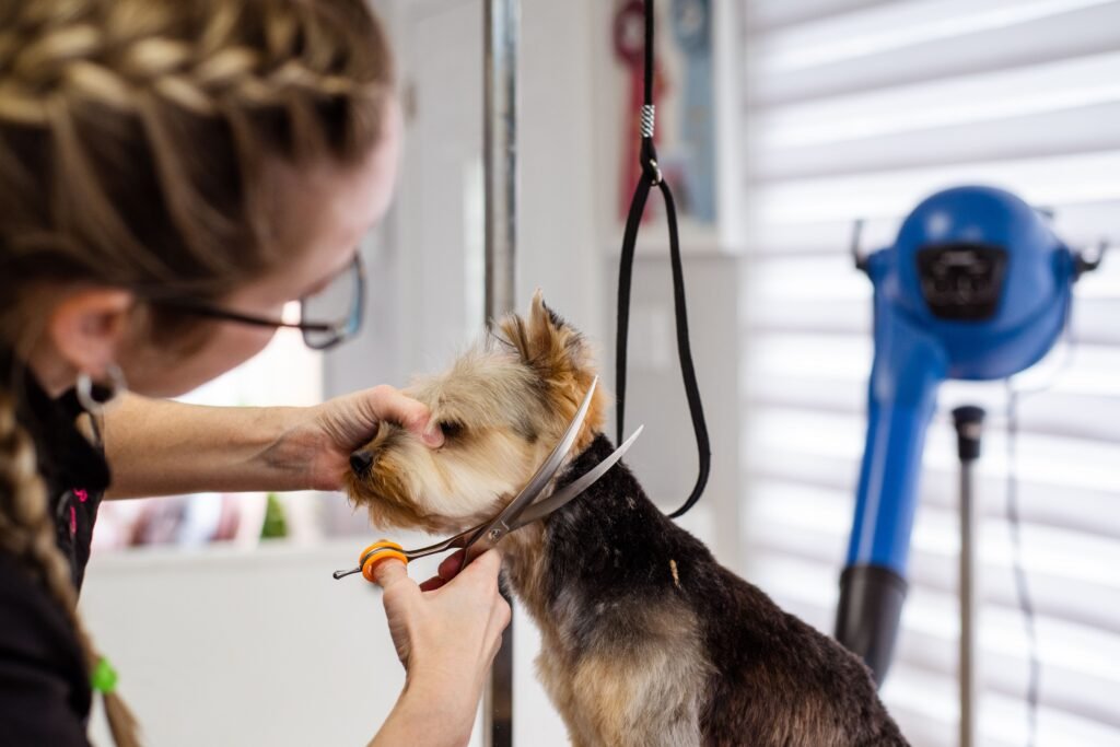Dog grooming supplies organized for storage
