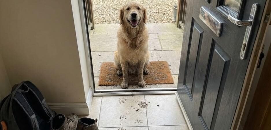 How to Keep Your Entryway Clean With a Muddy Dog