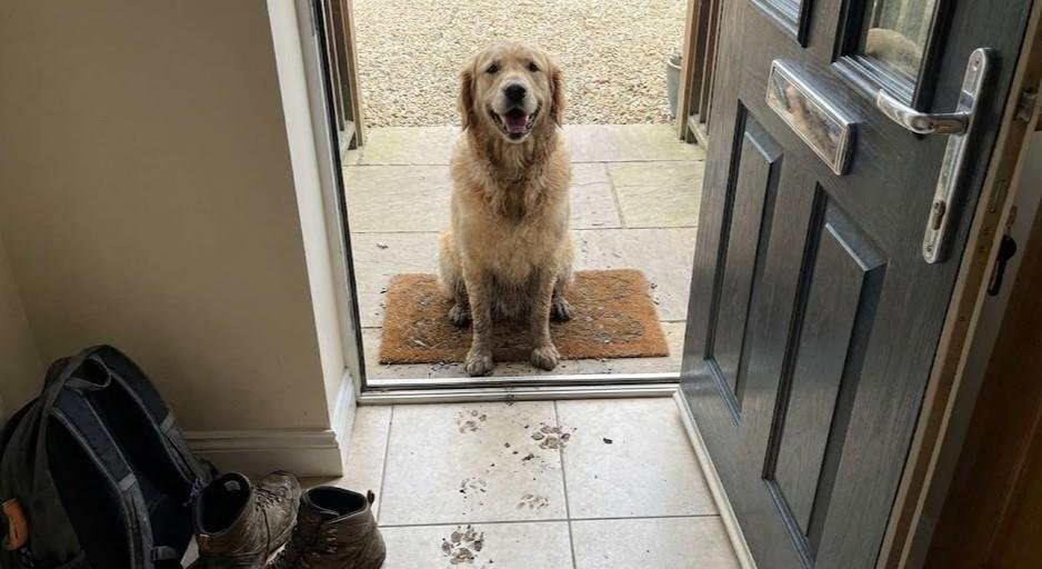 How to Keep Your Entryway Clean With a Muddy Dog