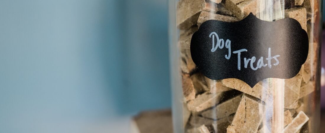 Dog Food Storage Ideas for Small Spaces: 10 Practical Ways