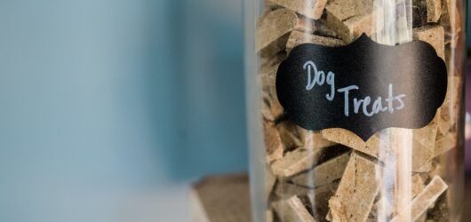 Dog Food Storage Ideas for Small Spaces: 10 Practical Ways