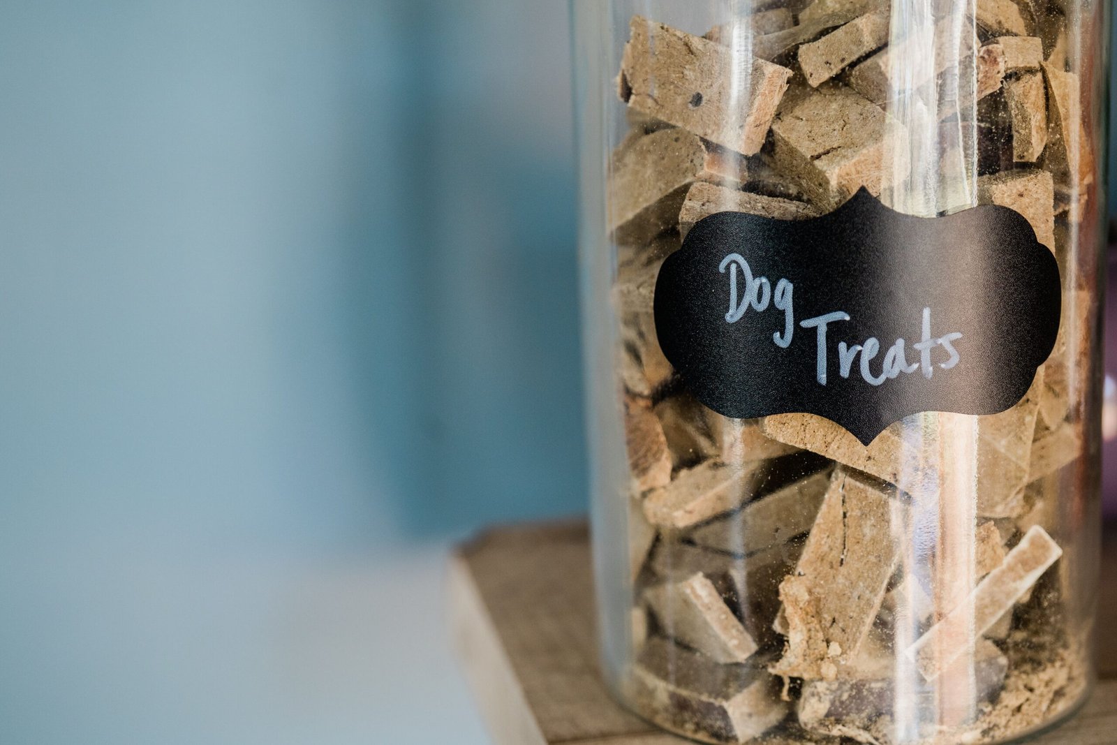 Dog Food Storage Ideas for Small Spaces: 10 Practical Ways